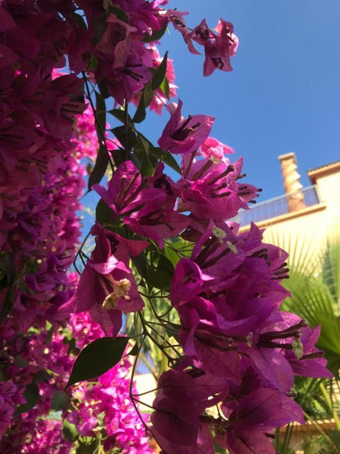 Les Jardins De Ryad Bahia Meknès Exterior foto